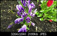 Zeigt eure schönsten Fotos und Videos mit dem One X-imag0047.jpg