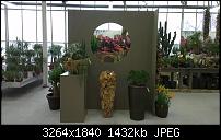 Zeigt eure schönsten Fotos und Videos mit dem One X-imag0023.jpg