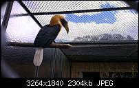 Zeigt eure schönsten Fotos und Videos mit dem One X-imag0074.jpg