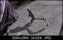 Zeigt eure schönsten Fotos und Videos mit dem One X-imag0078.jpg