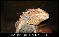 HTC Sensation - 8.1MP Fotos-imag0312.jpg