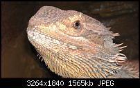 HTC Sensation - 8.1MP Fotos-imag0303.jpg