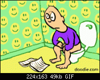 GPRS Datenmenge abfragen-wc-s-ember.gif