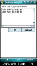 Automatischer Disconnect-registry2.jpg