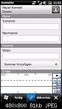 fehlende eingabemethoden bei wm6.5-screen03.jpg