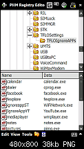 Falsch eingegeben im Registry-screenshot7.png