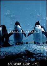 Wallpaper-penguingang.jpg