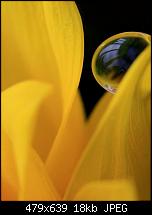 Wallpaper-36001_detail.jpg