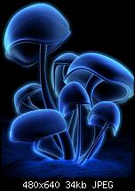Wallpaper-fluorescence6676.jpg