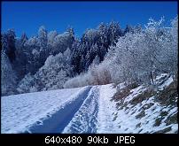 Kamera (Farbechtheit)-image_057a.jpg
