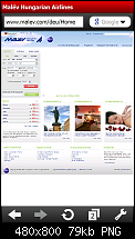 welcher browser zum flüge buchen?-malev.png