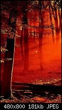 Wallpaper Sammlung-golden-wood.jpg