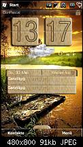 HTC TP2 Modding heute screens-capture001.jpg