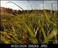 HTC U11 – Qualität der Fotos-imag0061.jpg