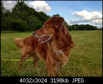 HTC U11 – Qualität der Fotos-imag0016.jpg