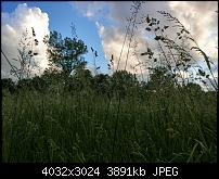 HTC U11 – Qualität der Fotos-imag0071.jpg