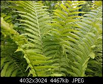 HTC U11 – Qualität der Fotos-imag0046.jpg