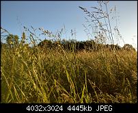 HTC U11 – Qualität der Fotos-imag0105.jpg