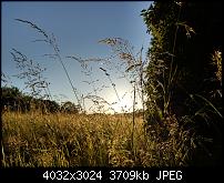 HTC U11 – Qualität der Fotos-imag0110.jpg