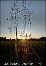 HTC U11 – Qualität der Fotos-imag0122.jpg