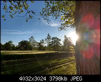 HTC U11 – Qualität der Fotos-imag0131.jpg