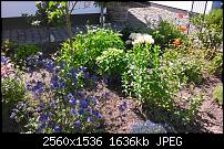 Huawei Ascend W1, Fotoqualität-wp_20130528_003.jpg
