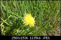 Huawei Ascend W1, Fotoqualität-wp_20130528_012.jpg