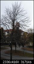 Bilderqualität des Honor 6 (postet Eure schönen Fotos hier)-2014-10-11-10.02.01.jpg