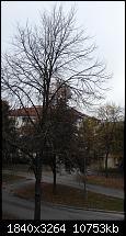Bilderqualität des Honor 6 (postet Eure schönen Fotos hier)-2014-10-11-10.02.11.jpg
