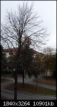 Bilderqualität des Honor 6 (postet Eure schönen Fotos hier)-2014-10-11-10.02.13.jpg