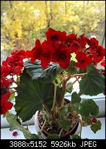 Huawei Honor 7, kleine Testberichte-img_20151024_114225.jpg