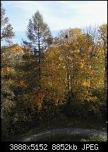 Huawei Honor 7, kleine Testberichte-img_20151024_114253.jpg