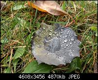 Huawei Mate 8 - Fotoqualität-img_20161116_105052.jpg