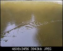 Huawei Mate 8 - Fotoqualität-img_20161112_081027.jpg