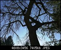 Huawei Mate 8 - Fotoqualität-img_20170127_135053.jpg