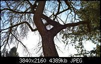 Huawei Mate 8 - Fotoqualität-wp_20170127_13_51_18_raw.jpg