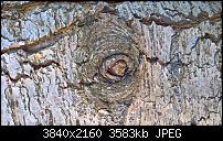 Huawei Mate 8 - Fotoqualität-wp_20170127_13_52_02_raw.jpg