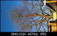 Huawei Mate 8 - Fotoqualität-wp_20170127_13_53_26_raw.jpg