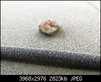 Huawei Mate 9 – Qualität der Fotos-img_20161207_094026.jpg