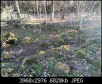 Huawei Mate 9 – Qualität der Fotos-2016-12-10-13.19.59.jpg