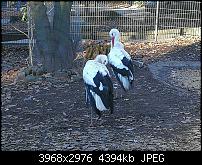 Huawei Mate 9 – Qualität der Fotos-2016-12-10-14.20.04.jpg