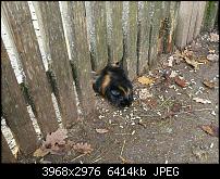 Huawei Mate 9 – Qualität der Fotos-2016-12-10-14.25.54.jpg