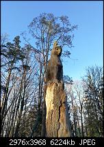 Huawei Mate 9 – Qualität der Fotos-2016-12-10-14.44.46.jpg