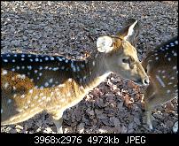 Huawei Mate 9 – Qualität der Fotos-2016-12-10-14.54.00.jpg