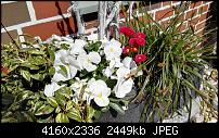 Huawei P8 Fotoqualität-img_20150418_111426.jpg