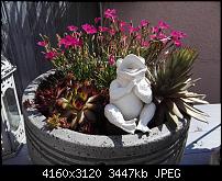 Huawei P8 Fotoqualität-img_20150616_102220.jpg