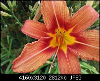 Huawei P8 Fotoqualität-img_20150616_174419.jpg