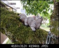 Huawei P8 Fotoqualität-img_20150616_174215.jpg