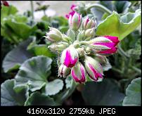 Huawei P8 Fotoqualität-img_20150616_173919.jpg