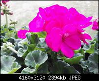 Huawei P8 Fotoqualität-img_20150616_173903.jpg